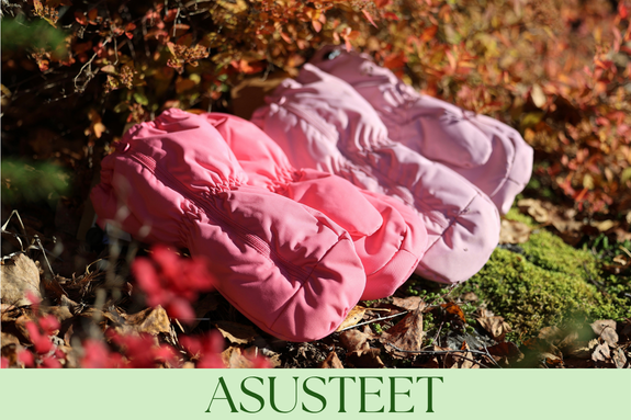 ASUSTEET