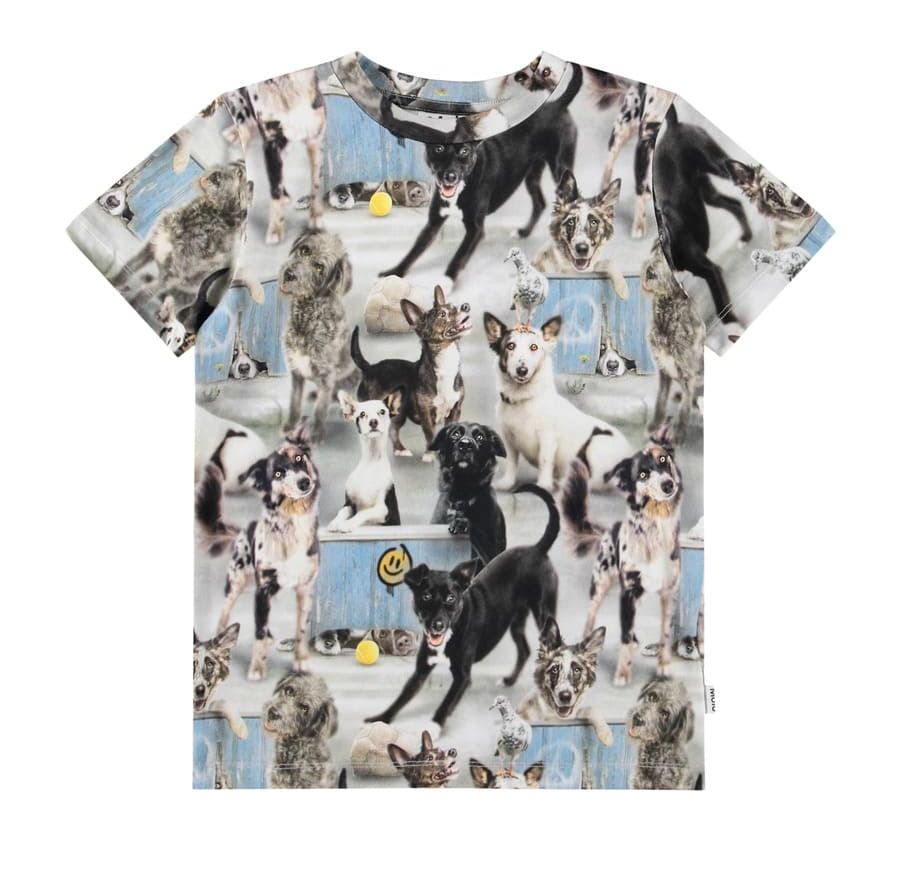 Molo Kids Ralphie Curious Dog T-paita