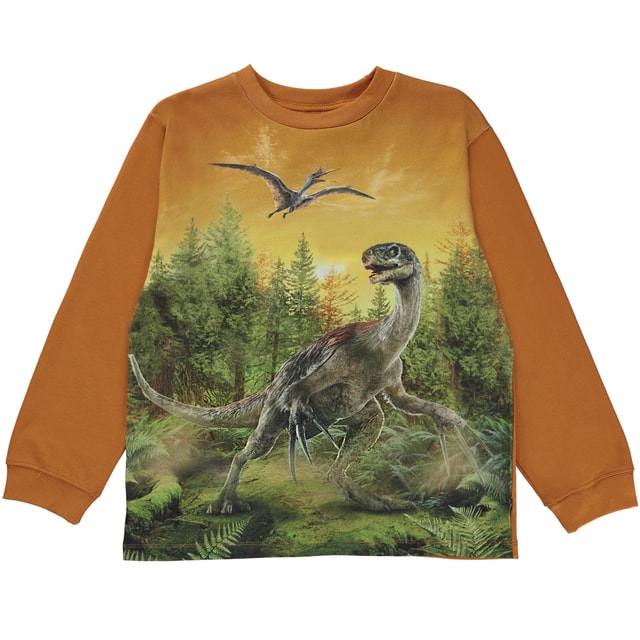 Molo Kids Rube Forest Dino Ls Tee