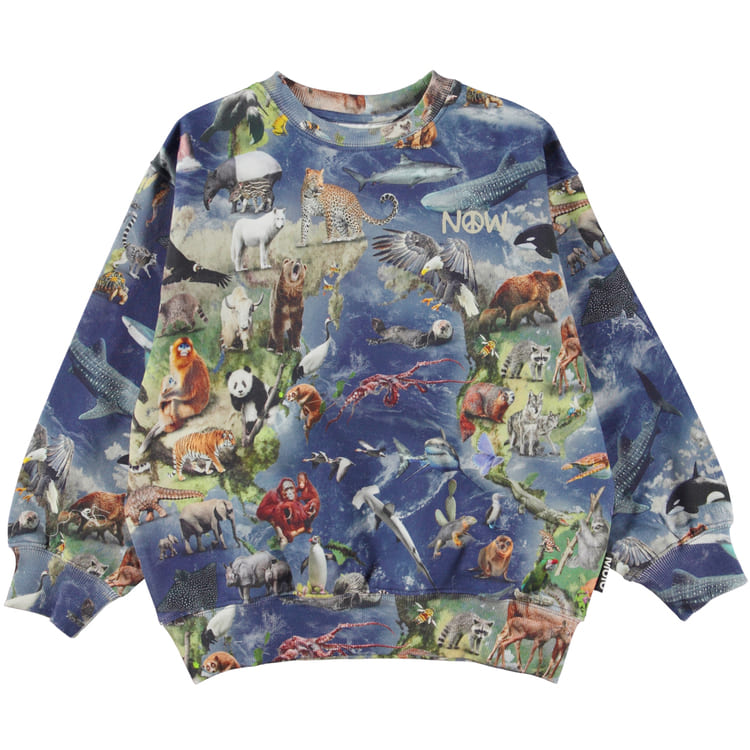 Molo Kids Monti Amazing Earth sweatshirt