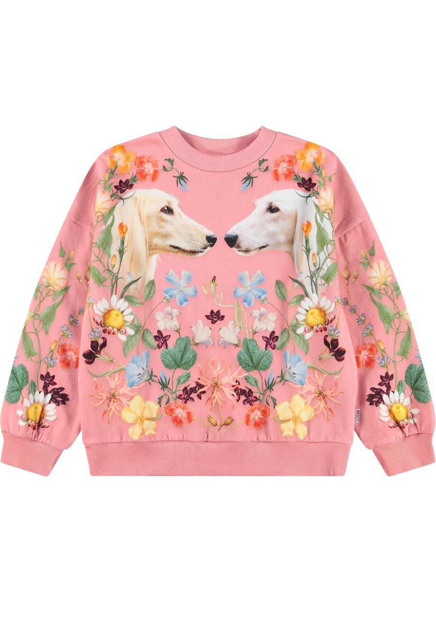 Molo Maxi college Afghan hounds